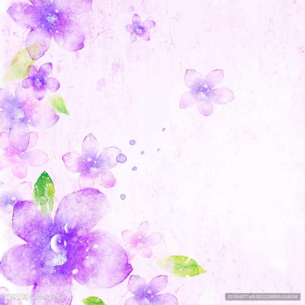 紫色花卉花朵唯美挂画装饰画