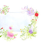 小清新花卉花边挂画装饰画