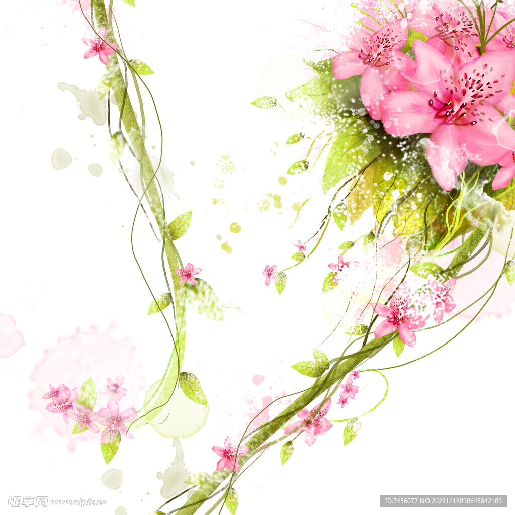 粉色花卉植物挂画