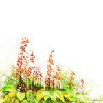 植物水彩花卉挂画装饰画