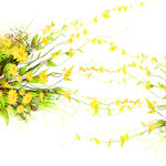 植物小黄花挂画装饰画