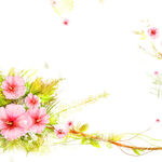 水彩粉红花卉挂画装饰画