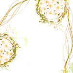 水彩花卉藤枝装饰画