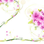 粉色花卉藤枝挂画装饰画