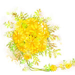 水彩黄色花卉挂画装饰画