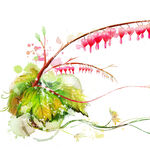 水彩植物花卉水墨装饰画