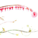 抽象水墨水彩花卉挂画装饰画