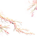 桃花枝水彩挂画装饰画