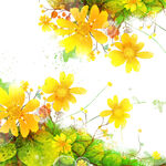 唯美小黄花植物挂画装饰画