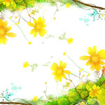 小黄花唯美水彩挂画装饰画