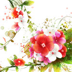 水彩花卉植物挂画装饰画