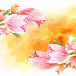 粉色花卉水彩挂画装饰画