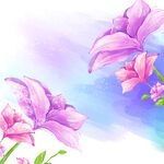 粉紫色花卉水彩挂画装饰画