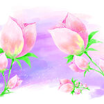 唯美粉色花卉挂画装饰画
