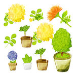 盆栽花卉水彩挂画装饰画