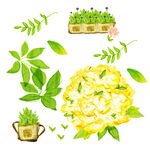 绿叶水彩花卉挂画装饰画