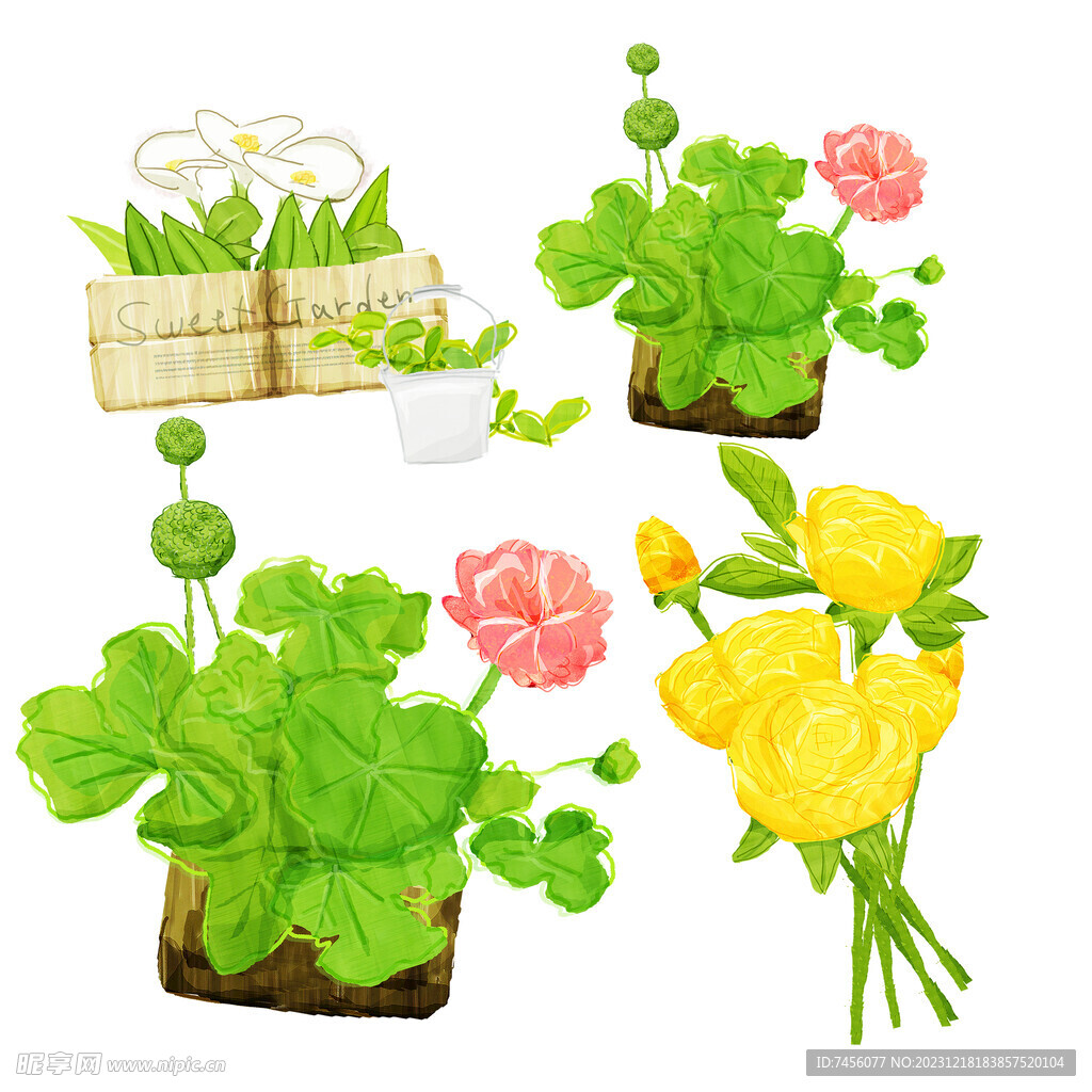 花卉植物水彩挂画装饰画