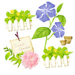 水彩花卉植物艺术挂画装饰画