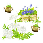 绿植花卉盆栽挂画装饰画
