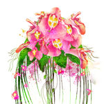 唯美花卉植物挂画装饰画