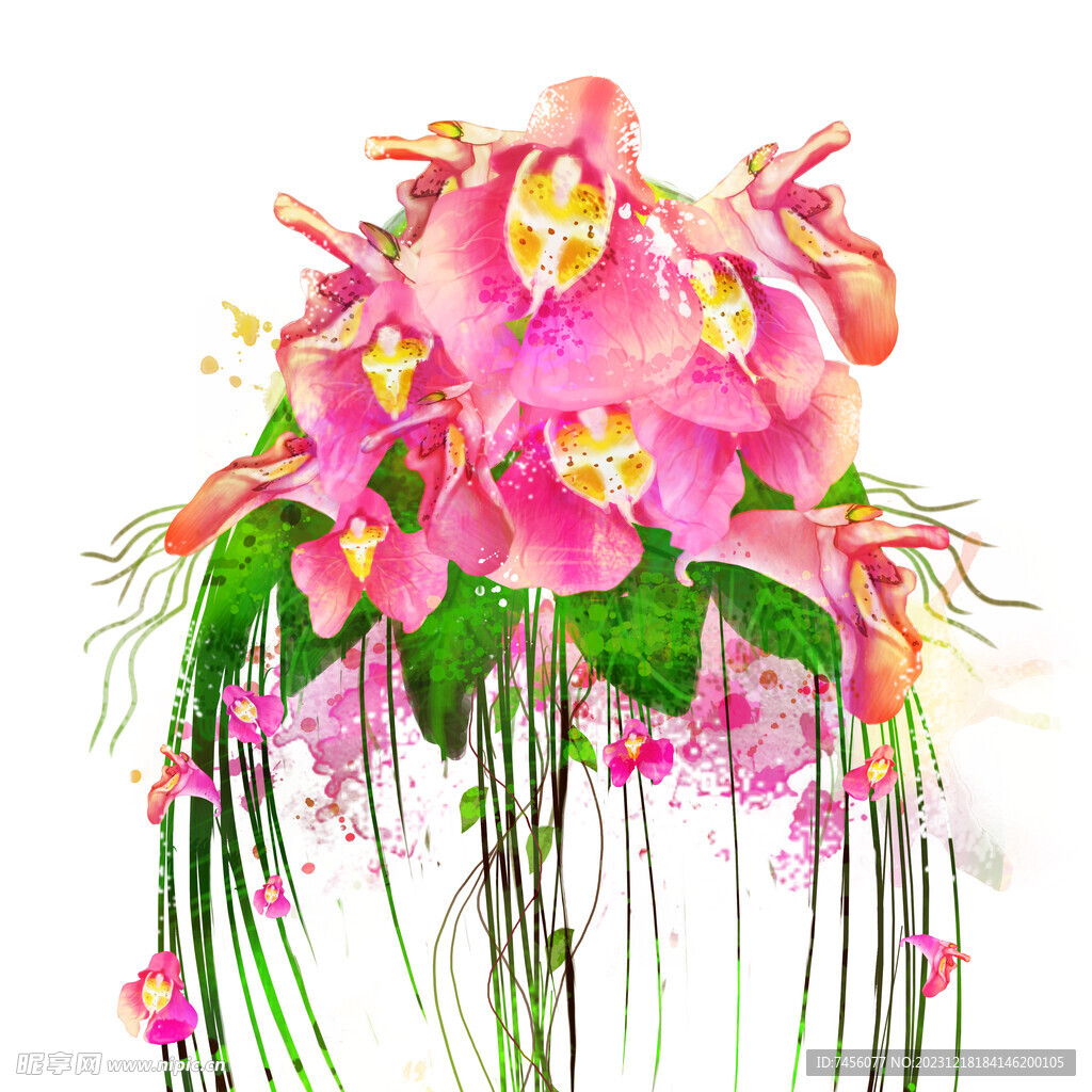 唯美花卉植物挂画装饰画