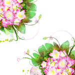 唯美花卉植物挂画装饰画