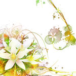 水彩白色花卉植物挂画装饰画