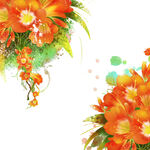 唯美花卉植物挂画装饰画