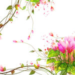 唯美花卉藤枝挂画装饰画