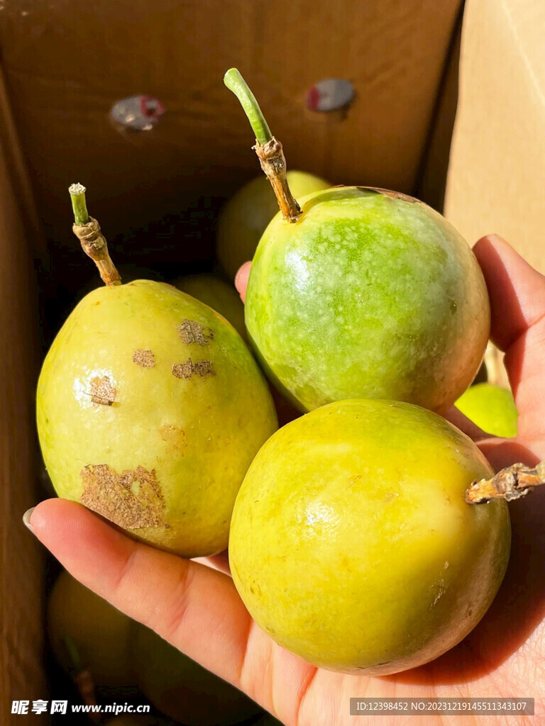 百香果