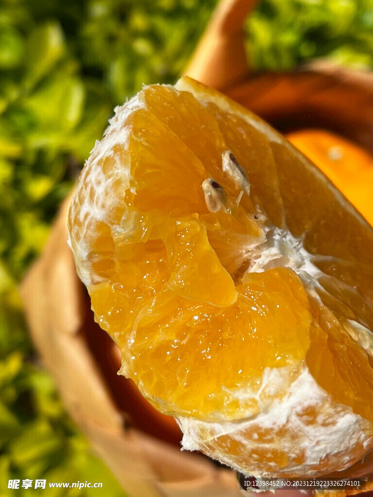柑橘