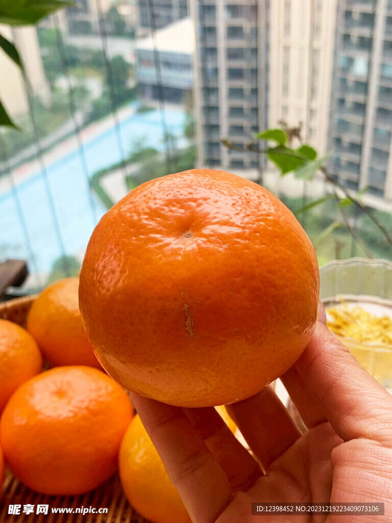 柑橘