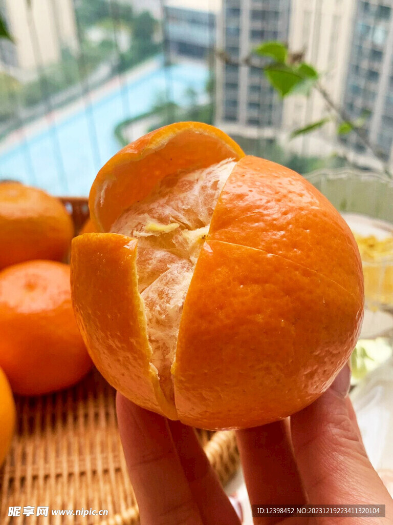 柑橘