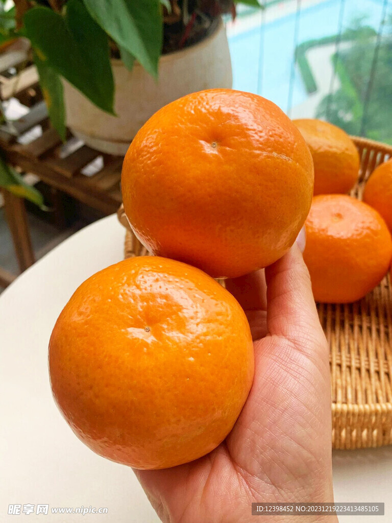 柑橘