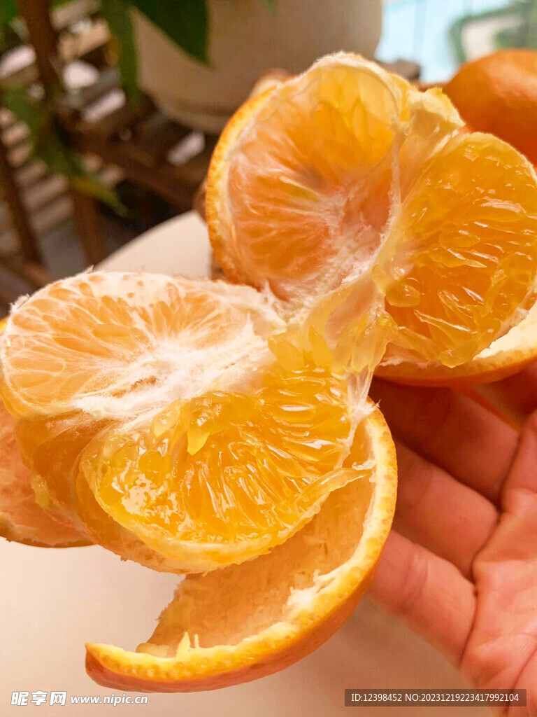 橘子