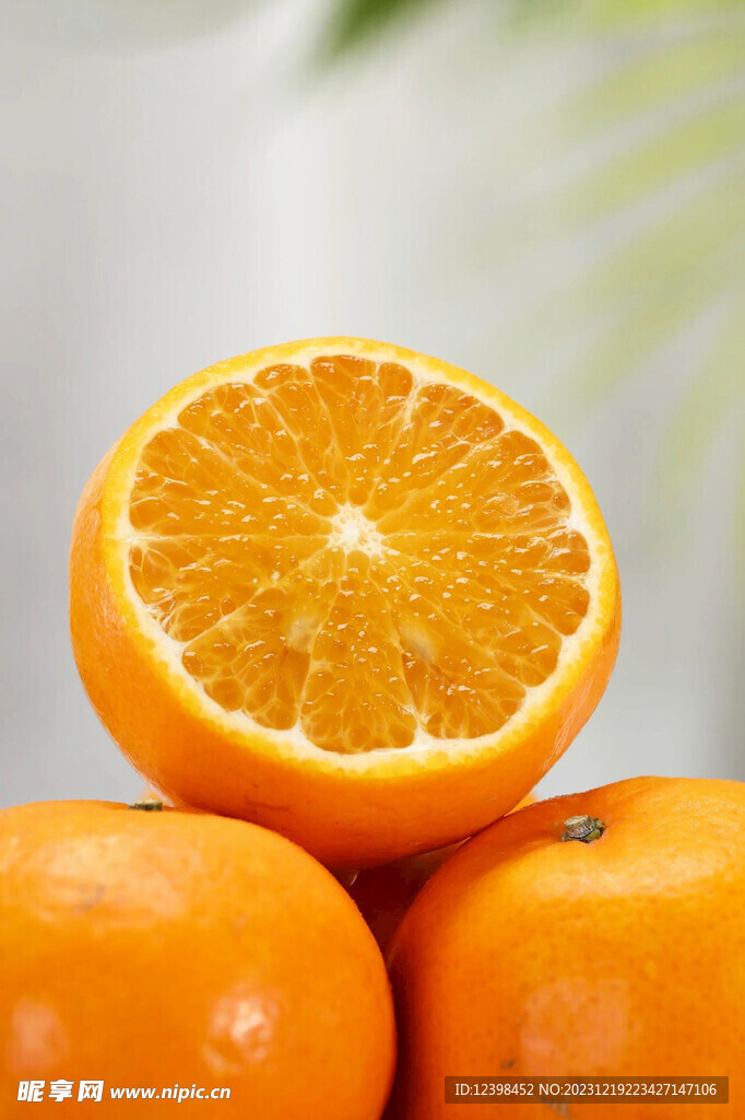 柑橘