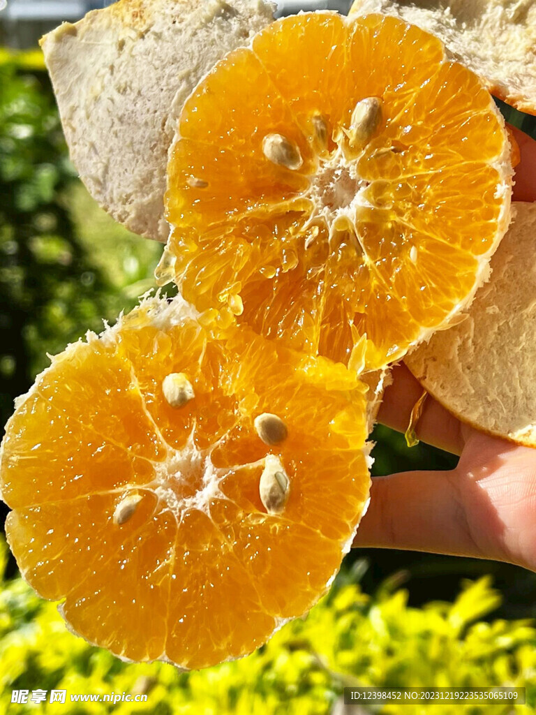 橘子