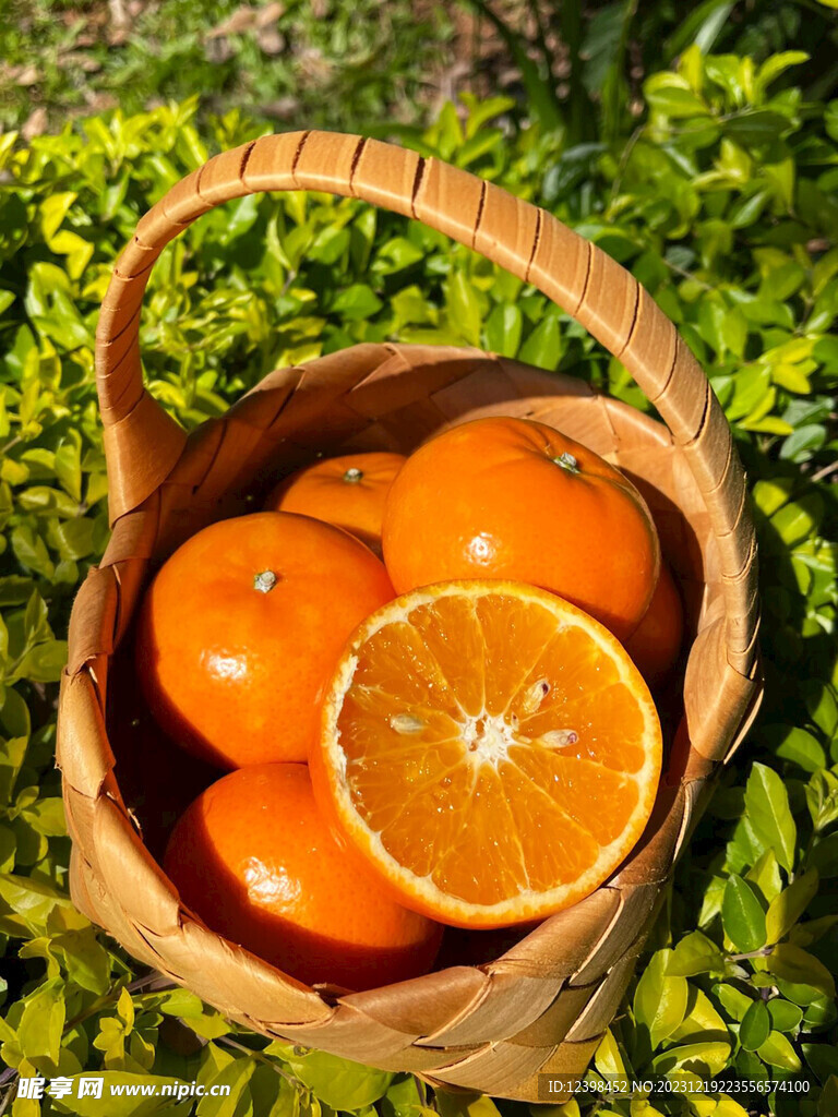 沃柑