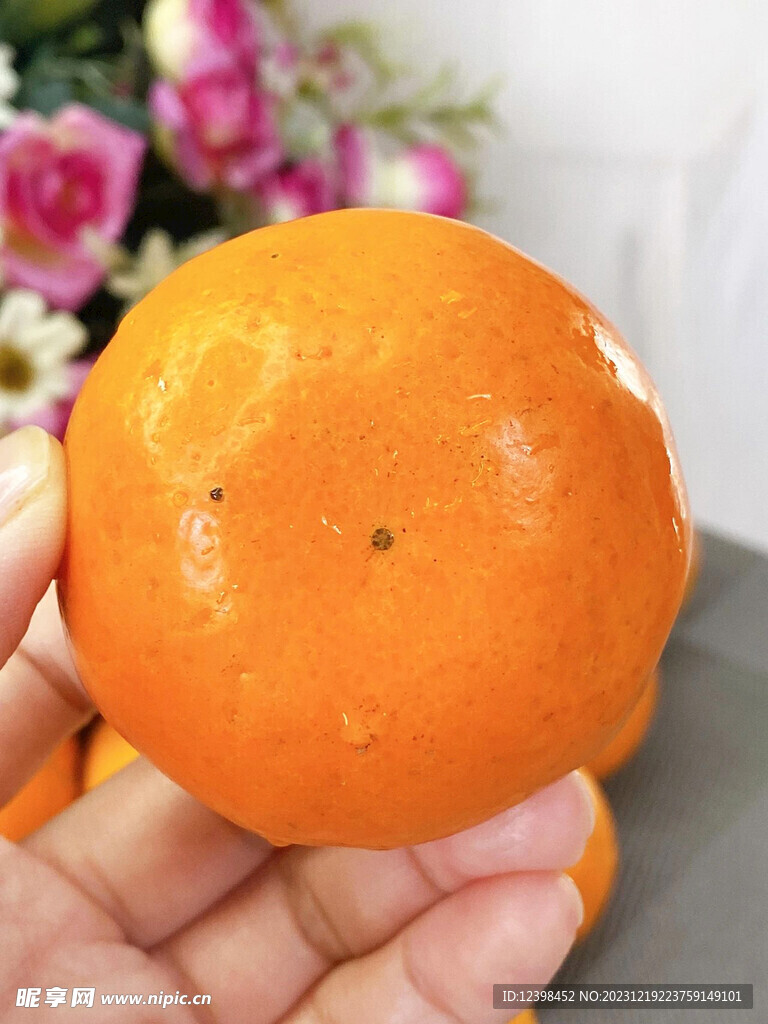 沃柑