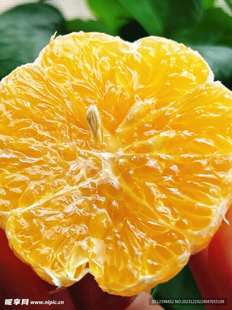 橘子