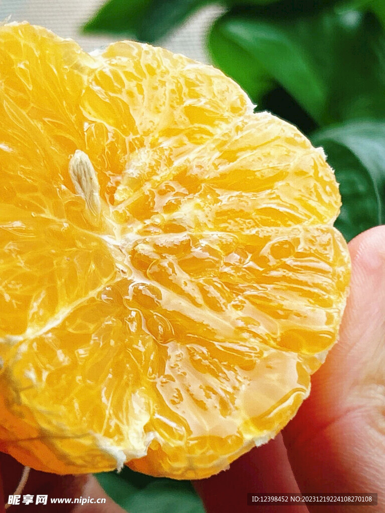 橘子