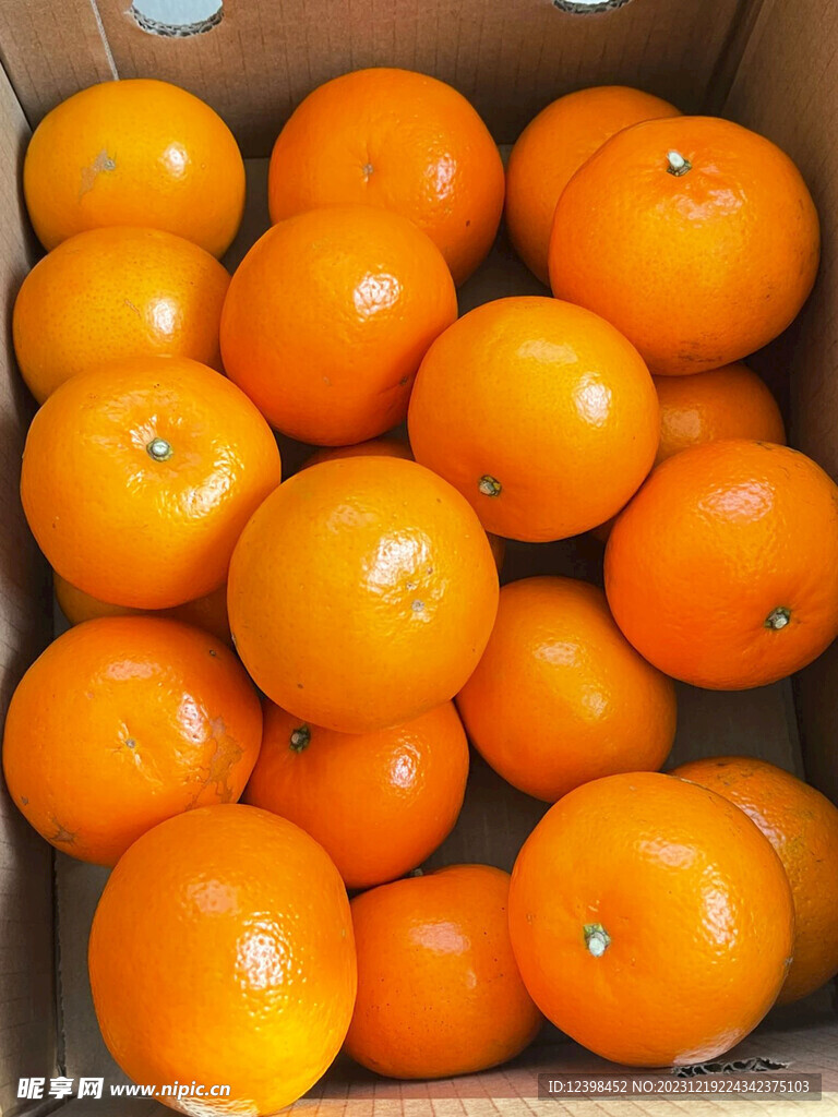 橘子