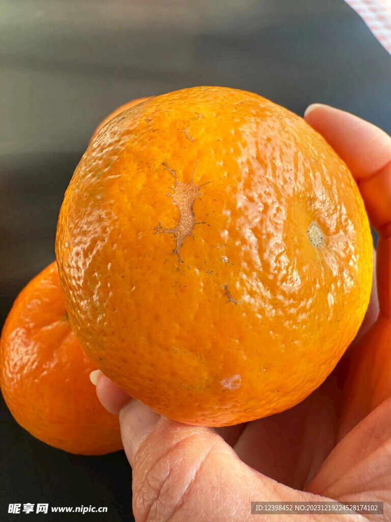 橘子