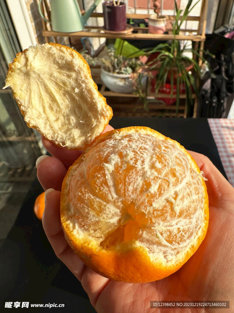 橘子