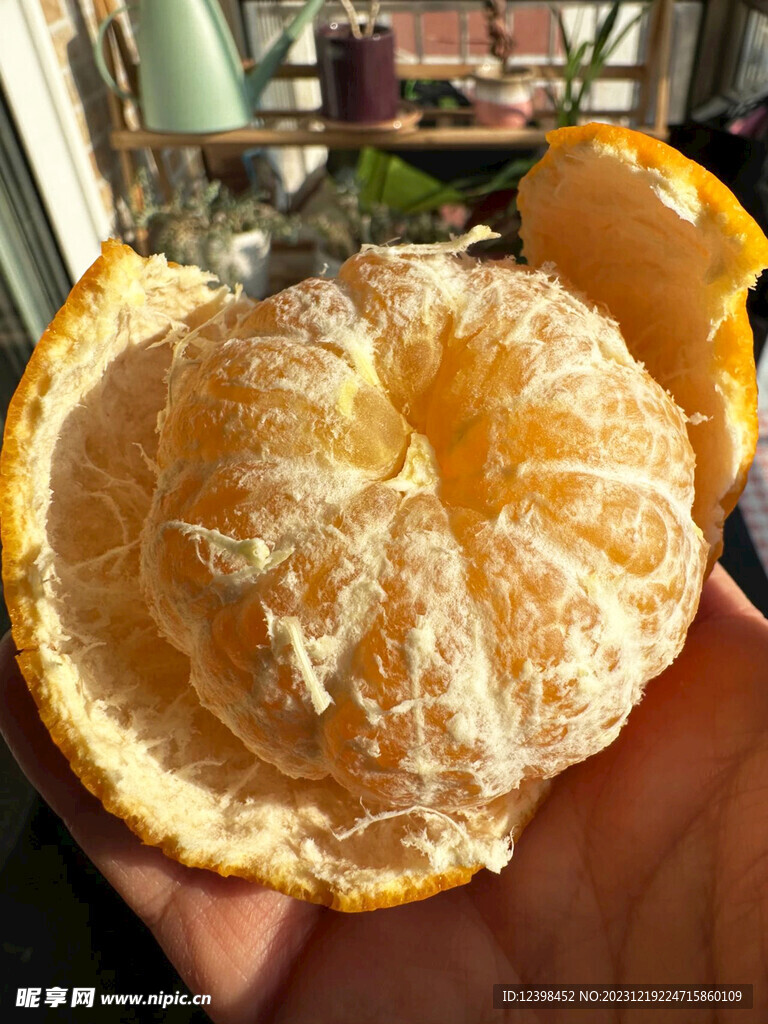 橘子