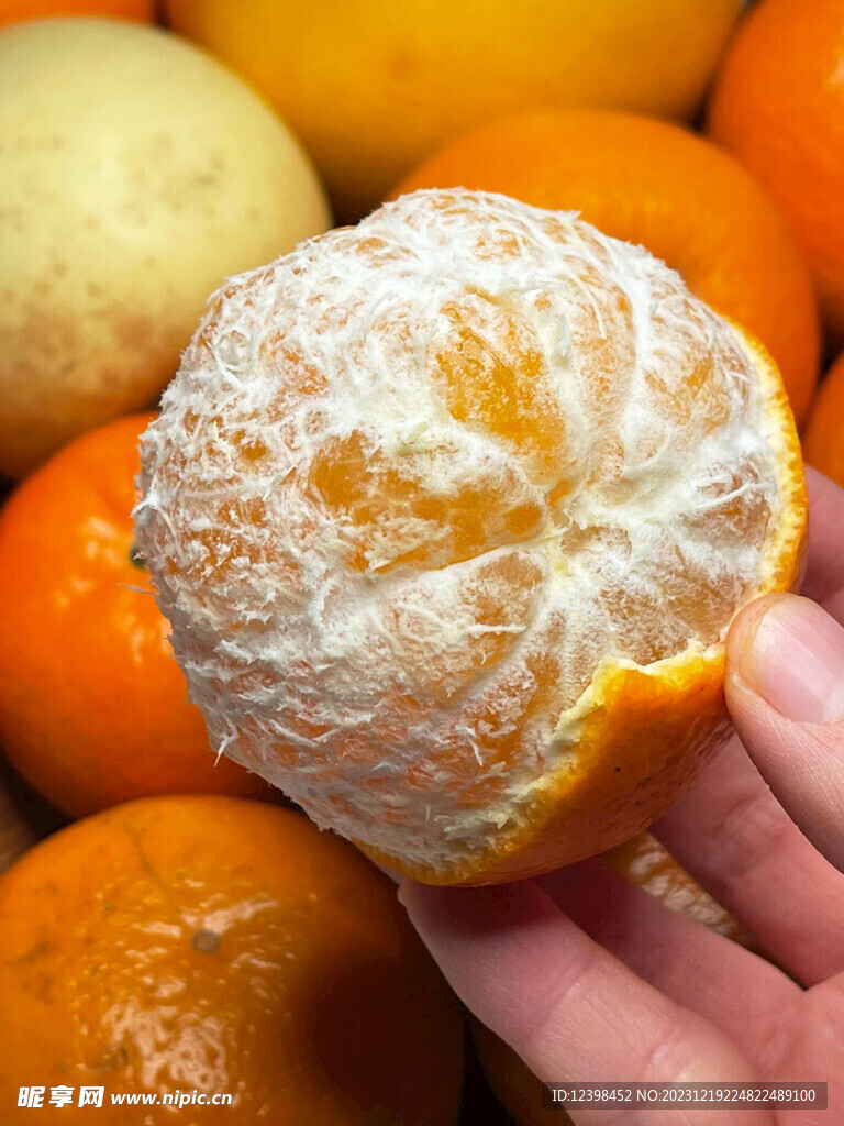 沃柑