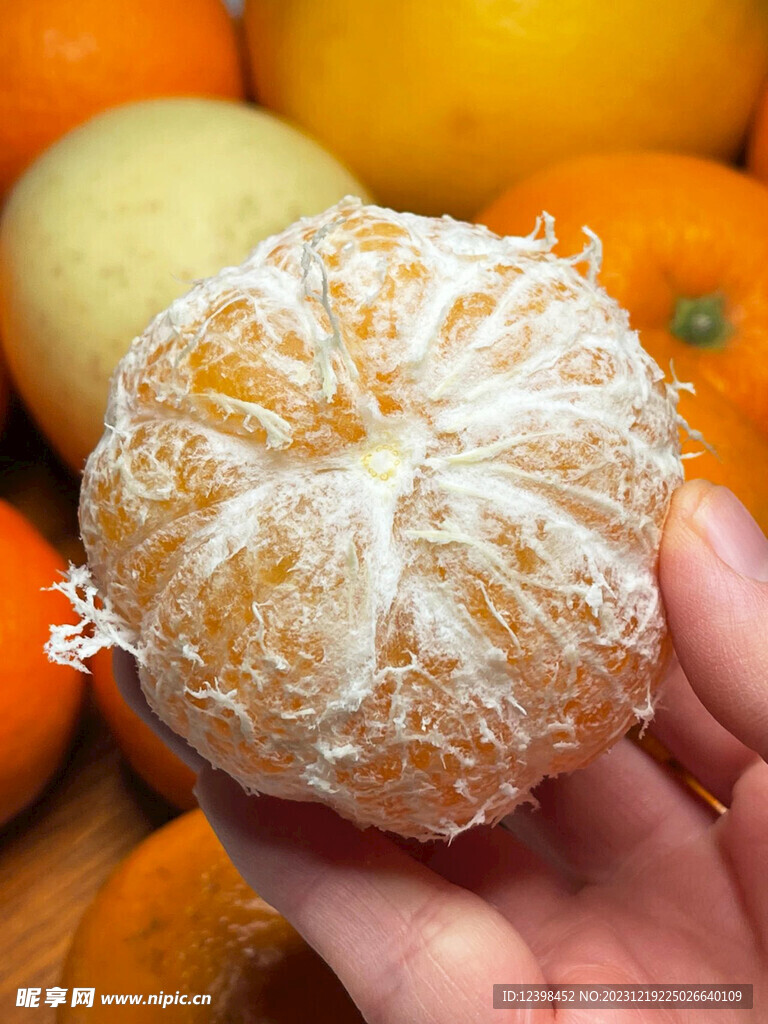 沃柑
