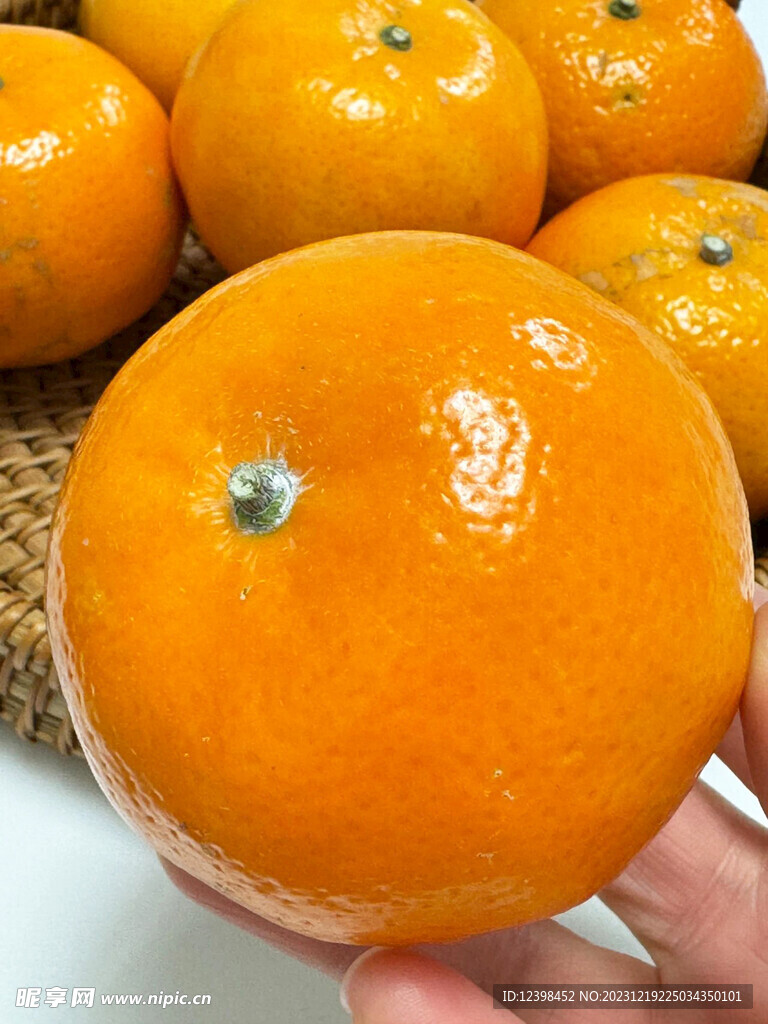 沃柑