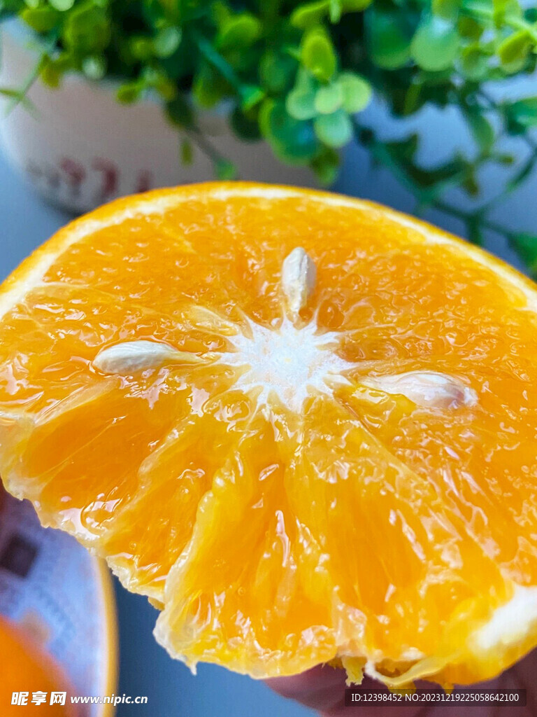 沃柑