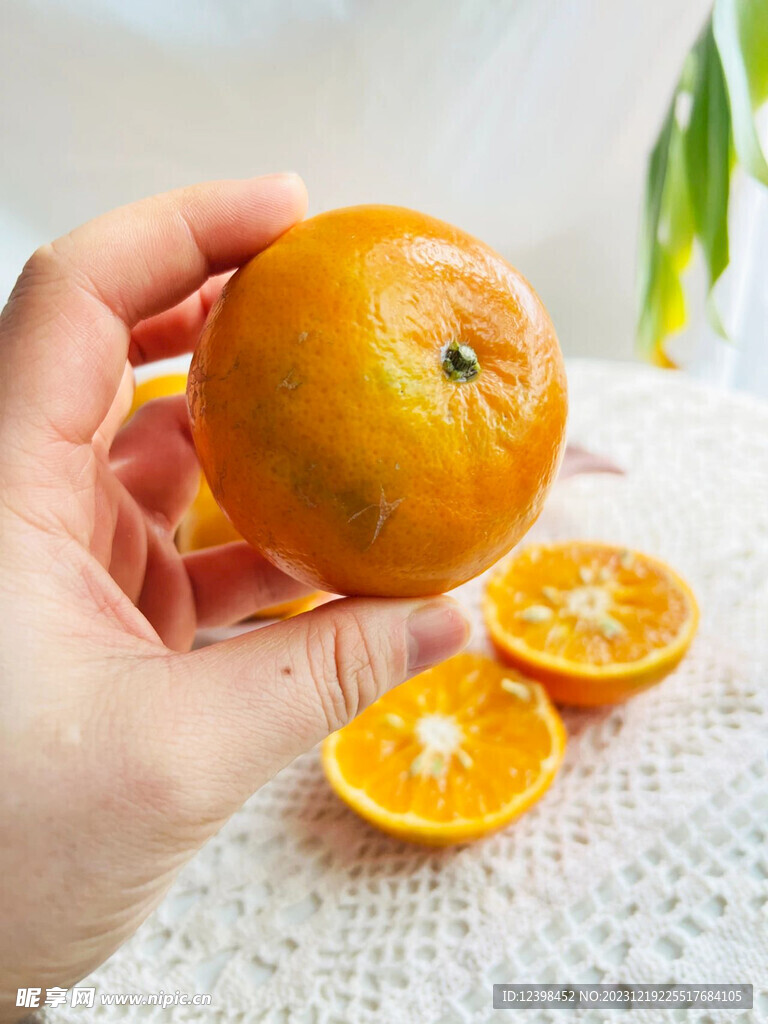 柑橘
